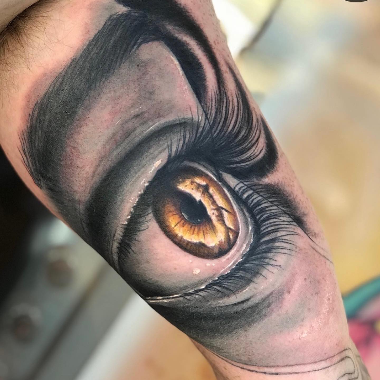 Hyper-realistic eye tattoo by Zane Jolley