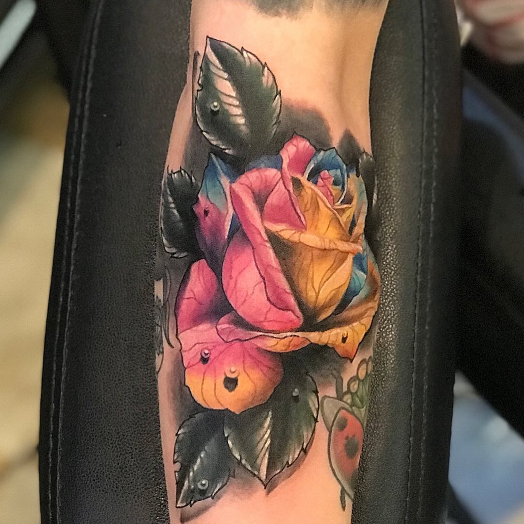 Vibrant rainbow rose with pink, orange, blue, and yellow petals with water droplets